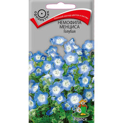 ������ ������ �������� ������� �������   ����