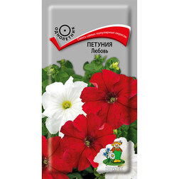 ������ ������ ������� ������   ����