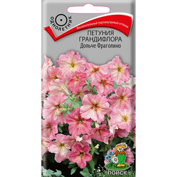 ������ ������ ������� ����������� ������ ��������� (���� ������. �� ����� 2024 �)   ����