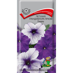 ������ ������ ������� ����������� ����� �������   ����