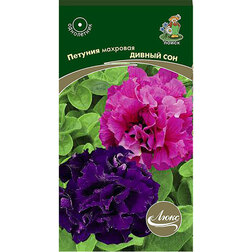 ������ ������ ������� �������� ������ ��� (���� ������. �� ����� 2024 �)   ����