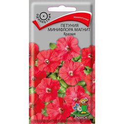 ������ ������ ������� ��������� ������ �������   ����