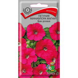 ������ ������ ������� ��������� ������ ����-�������   ����