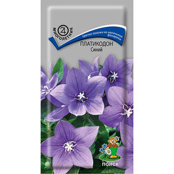 ������ ������ ���������� �����   ����