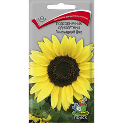 ������ ������ ������������ ���������� ���������� ���   ����