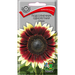 ������ ������ ������������ ���������� ������   ����