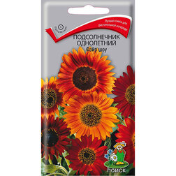 ������ ������ ������������ ���������� ���� ���   ����