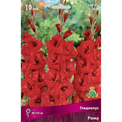 ������ ������ ��������� ����   ����