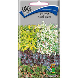 ������ ������ ����� ����� �����   ����