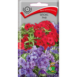 ������ ������ ����� ����   ����