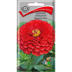 ������ ������ ������ ������� �������� ����   ����