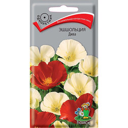 ������ ������ ��������� ����   ����