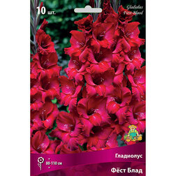 ������ ������ ��������� ���� ����   ����