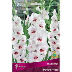 ������ ������ ��������� ����������   ����