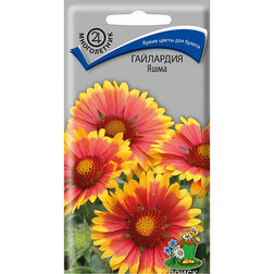 ������ ������ ��������� ����   ����