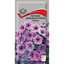 ������ ������ ������� ��������� ����� �������   ����