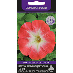 ������ ������ ������� ��������������� ����� ������� � ����� ���������� (������ �����)   ����