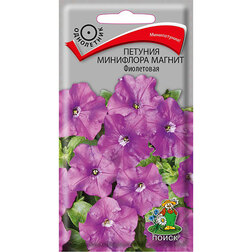 ������ ������ ������� ��������� ������ ����������   ����