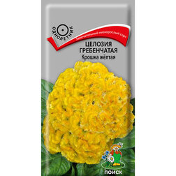 ������ ������ ������� ����������� ������ ����� (���� ������. �� ����� 2024 �)   ����