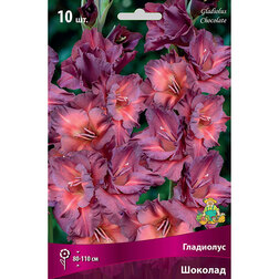 ������ ������ ��������� �������   ����