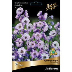 ������ ������ ���������� ������� �� ������   ����