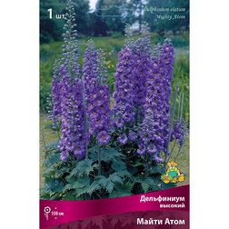 ������ ������ ���������� ������� ����� ����   ����