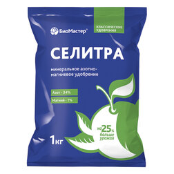 ������ ������ ������� ������-���������, 1�� ���������   ����