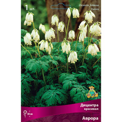 ������ ������ �������� �������� ������   ����