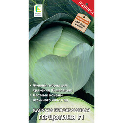 ������ ������ ������� ������������ ��������� F1   ����