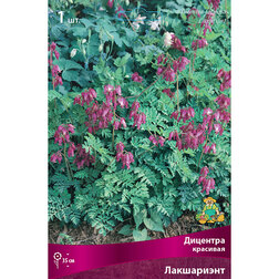 ������ ������ �������� �������� ����������   ����