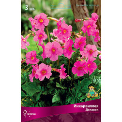 ������ ������ ����������� ������� (3 ��.)   ����