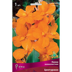 ������ ������ ����� ������������� ���������   ����