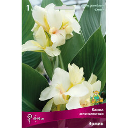 ������ ������ ����� ������������� ������   ����