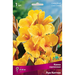 ������ ������ ����� ���������� ��� ������   ����