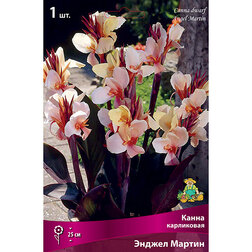 ������ ������ ����� ���������� ������ ������   ����