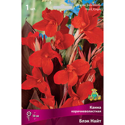 ������ ������ ����� ���������������� ���� ����   ����