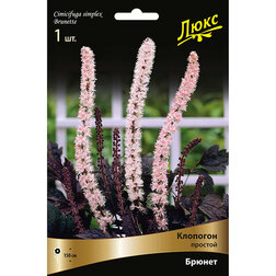 ������ ������ �������� ������� ������   ����