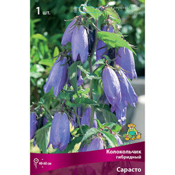 ������ ������ ����������� ��������� �������   ����