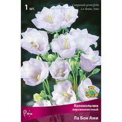 ������ ������ ����������� �������������� �� ��� ���   ����