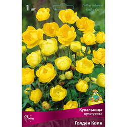 ������ ������ ���������� ���������� ������ ����   ����