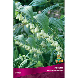 ������ ������ ������ ��������������   ����