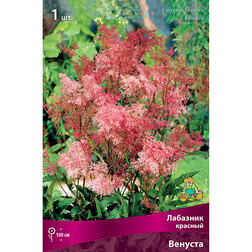 ������ ������ �������� ������� �������   ����