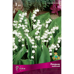 ������ ������ ������ �������   ����