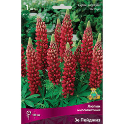 ������ ������ ����� ������������ �� �������   ����