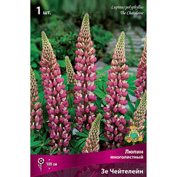 ������ ������ ����� ������������ �� ���������   ����