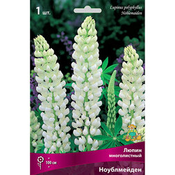 ������ ������ ����� ������������ �����������   ����