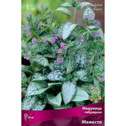 ������ ������ �������� ��������� �������   ����