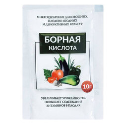 ������ ������ ������ ������� (10��.)   ����