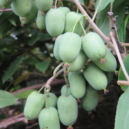 ������ ������ ��������� ������ ������   ����