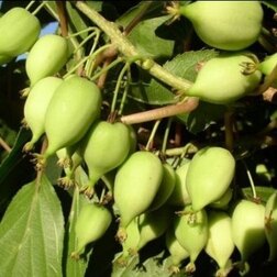 ������ ������ ��������� ������ ��������   ����